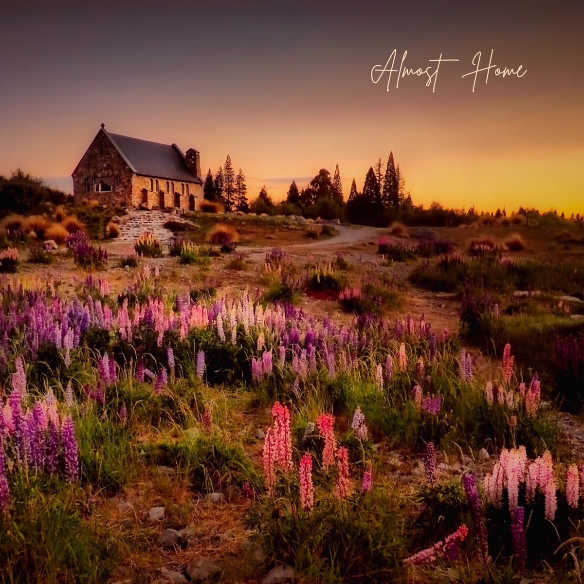 Offizielles Cover von Almost Home