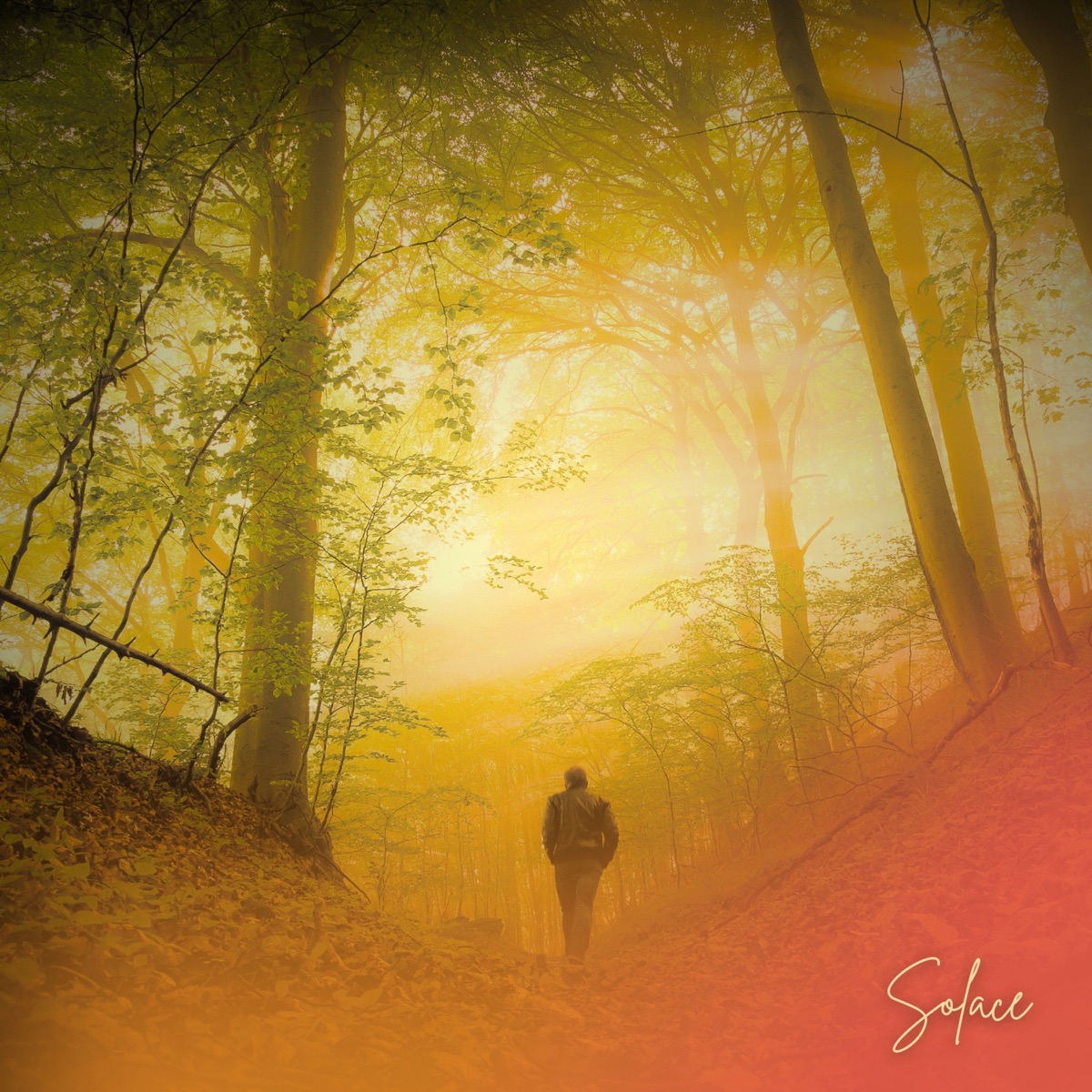 Offizielles Cover von Solace