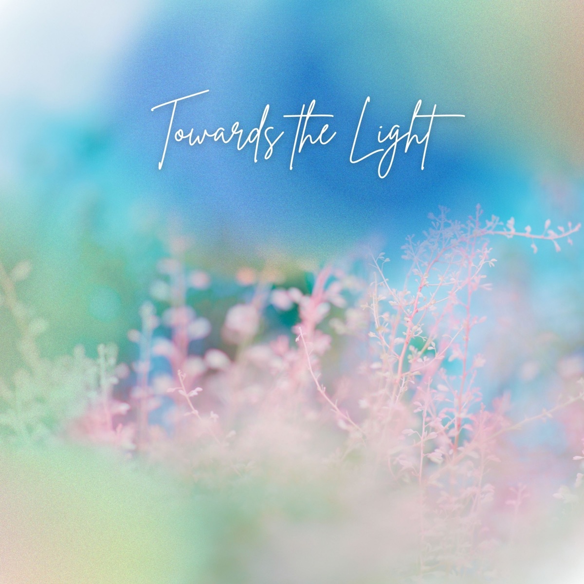 Offizielles Cover von Towards the Light