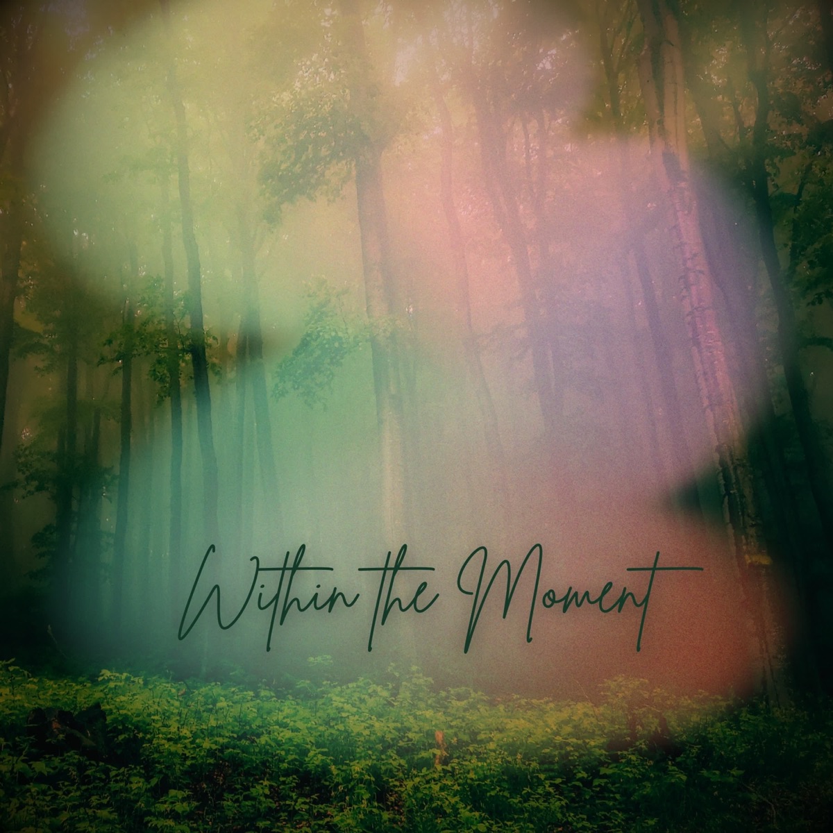 Offizielles Cover von Within The Moment